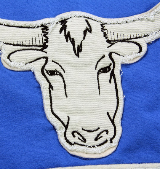 DICKIES Tシャツ(半袖) ブルー