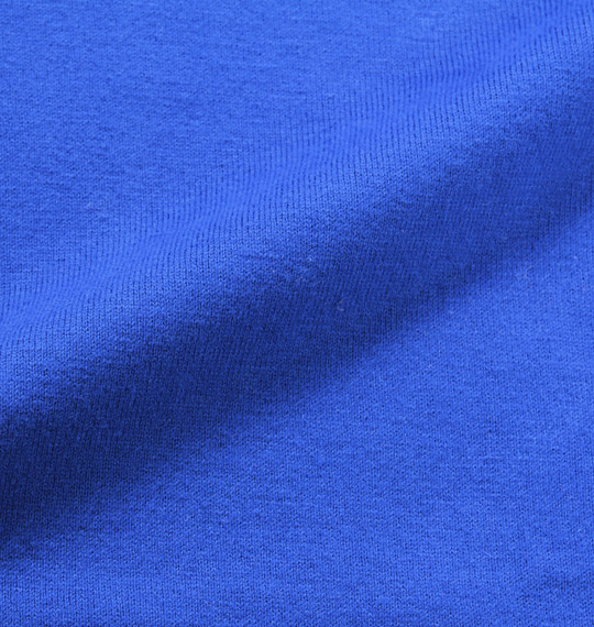 DICKIES Tシャツ(半袖) ブルー