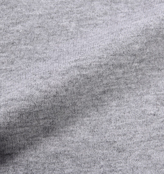 DICKIES Tシャツ(半袖) モクグレー