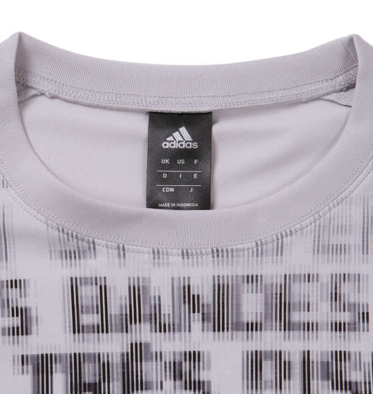 adidas グラフィック半袖Tシャツ グレー
