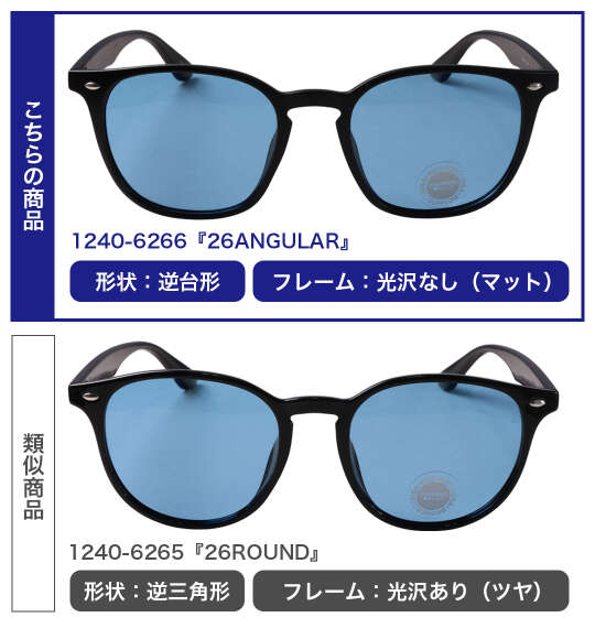 DCSHOES 26ANGULARサングラス ブラック×ライトブルー