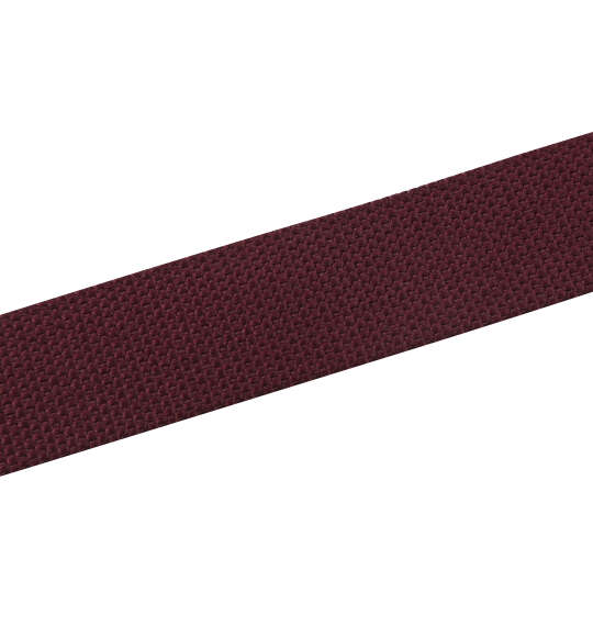 DCSHOES WEB BELT3 フィグ