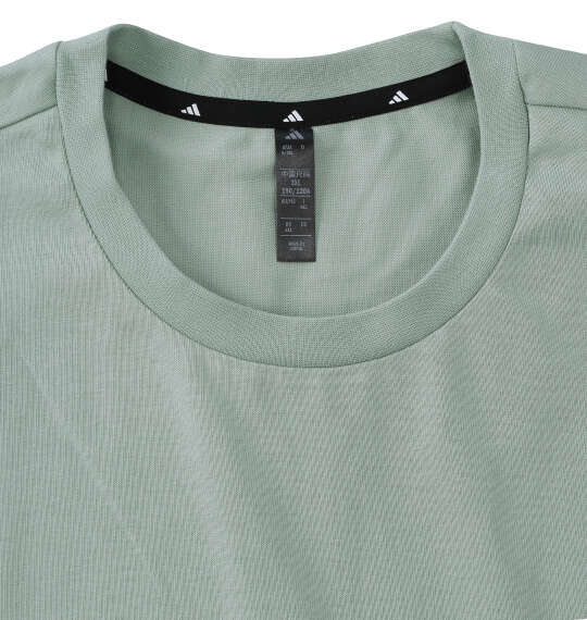 adidas VERBIAGE半袖Tシャツ ワンダーセージ