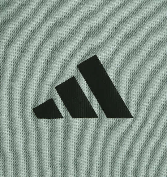 adidas VERBIAGE半袖Tシャツ ワンダーセージ
