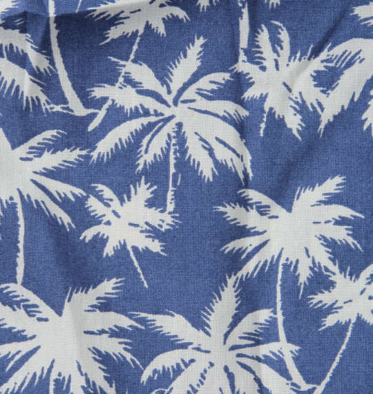 Levi's 2Pヤシの木柄トランクス ブルー×グリーン