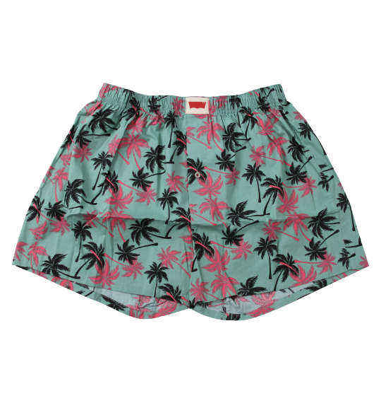 Levi's 2Pヤシの木柄トランクス ブルー×グリーン