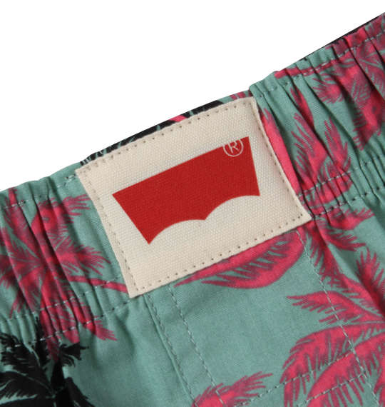 Levi's 2Pヤシの木柄トランクス ブルー×グリーン