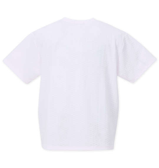 COLLINS TPU格子ジャガードVネック半袖Tシャツ ホワイト