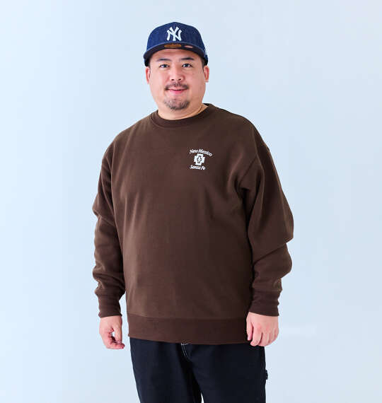 BEAUMERE 裏起毛クルーネックスウェット ブラウン