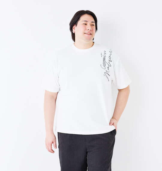 in the attic 刺繍ジャガード半袖Tシャツ ホワイト