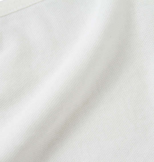 黒柴印和んこ堂 大きめサイズ冷感素材の洗える布マスク オフホワイト