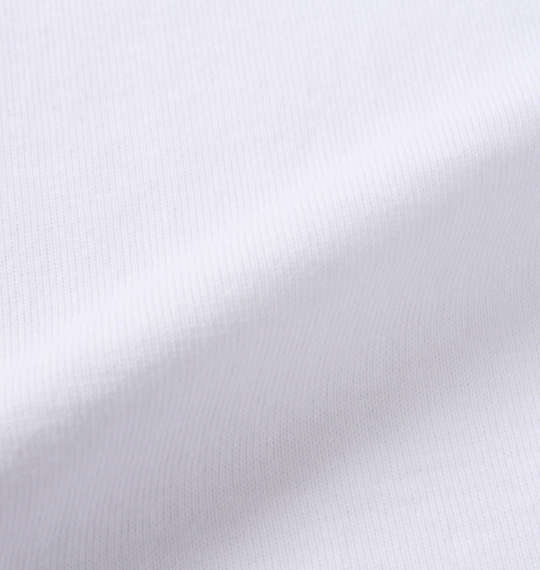 魂 相撲絵デザイン半袖Tシャツ ホワイト