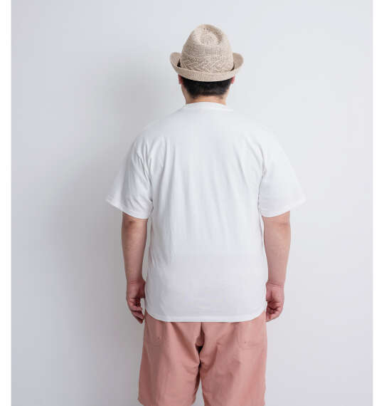 VOLKSWAGEN 天竺半袖Tシャツ ホワイト