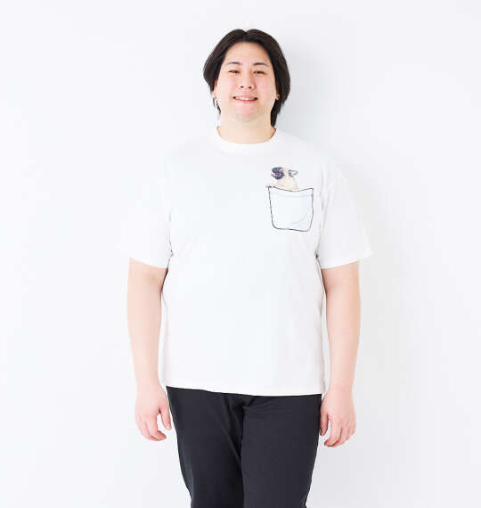 RIMASTER VISION 天竺トリックアート半袖Tシャツ ホワイト