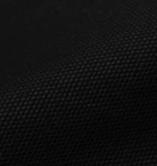 DICKIES ダックアクティブパーカー ブラック