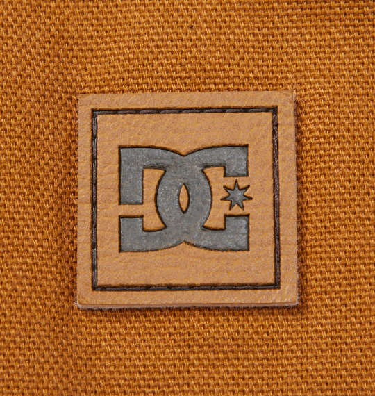 DCSHOES 22BIG PAINTERSパンツ ブラウン