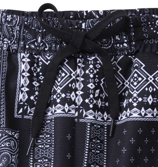 DCSHOES 23 ST DRYFASTハーフパンツ ブラックバンダナ