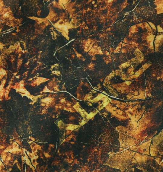 RUSTY リアルツリーカモサーフパンツ オレンジ