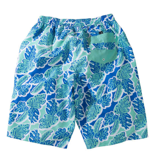 OCEAN PACIFIC マイクロツイルサーフパンツ ブルー