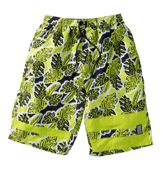 OCEAN PACIFIC マイクロツイルサーフパンツ ライム