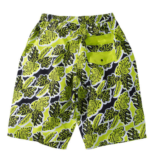 OCEAN PACIFIC マイクロツイルサーフパンツ ライム