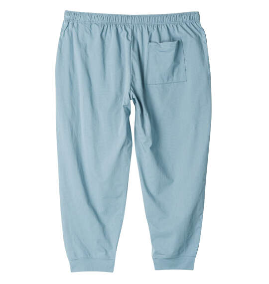 EVERLAST ストレッチメッシュロングパンツ サックス