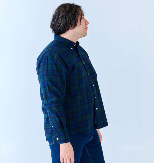 POLO BCS ネルチェック長袖B.Dシャツ グリーン系