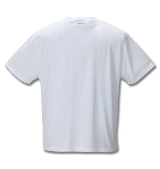 adidas ビッグロゴ半袖Tシャツ ホワイト