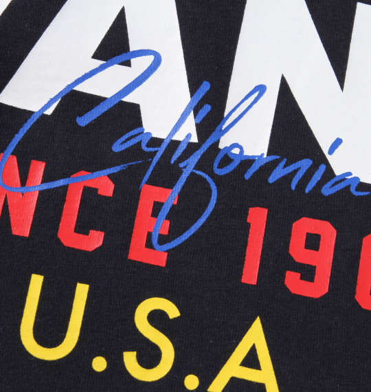 VANS FLV USA半袖Tシャツ ネイビー