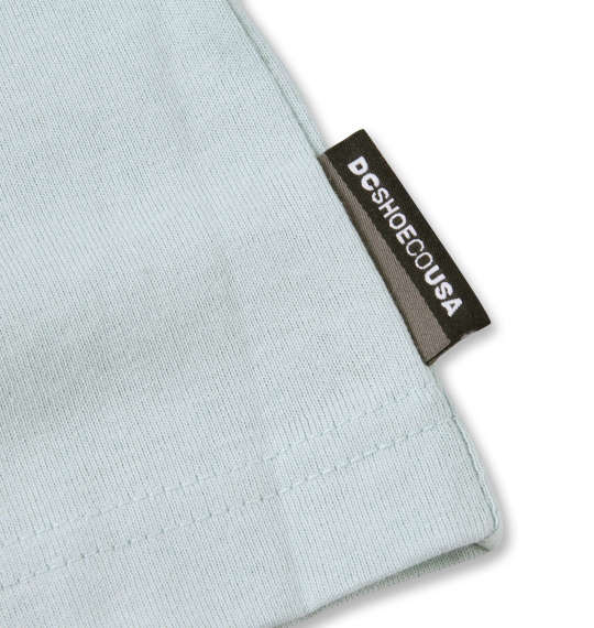 DCSHOES 21 ALTERNATIVE長袖Tシャツ ライトブルー