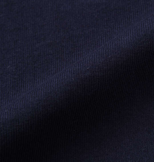 RUSTY プリントTシャツ ネイビー