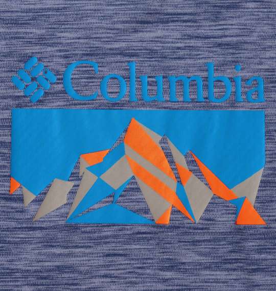 Columbia ゼロルールズショートスリーブグラフィックTシャツ カーボンヘザー