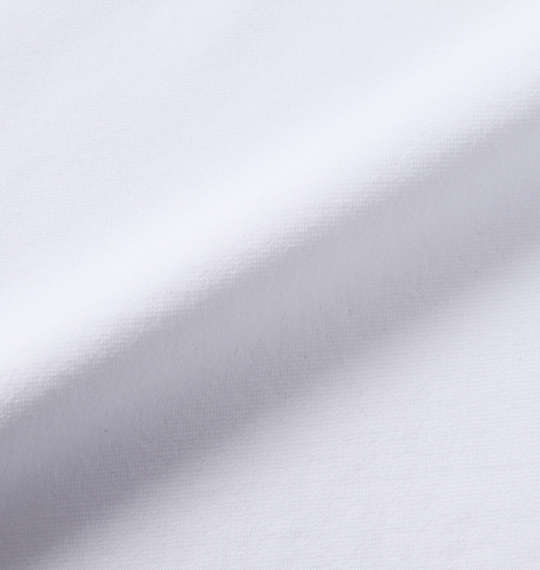 DESCENTE S.F.TECH COOL FULL GRAPHIC半袖Tシャツ ホワイト