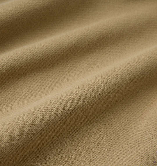 DCSHOES 23BIG OE BACK LOGOフルジップパーカー ベージュ