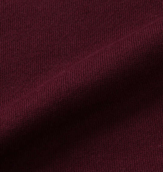 POLO BCS 裏起毛チェックロゴプルパーカー エンジ