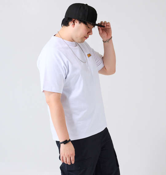 ELEMENT ACOMPANY半袖Tシャツ ホワイト