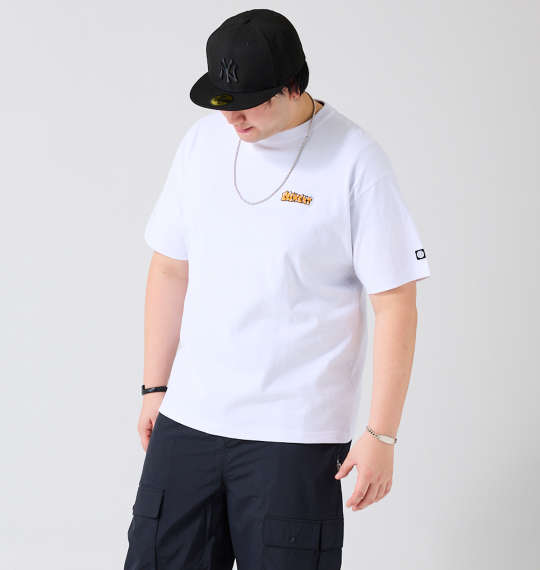 ELEMENT ACOMPANY半袖Tシャツ ホワイト