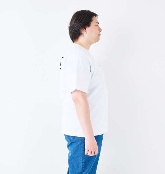 DCSHOES 25GRAFFITTI半袖Tシャツ ホワイト