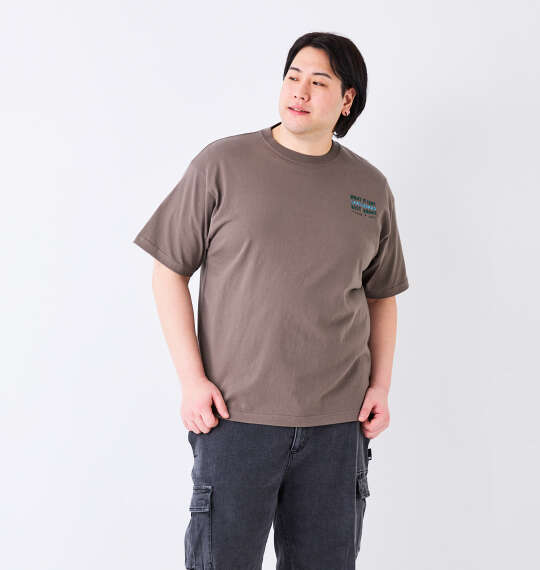 (What it isNt) 天竺プリント半袖Tシャツ グレージュ