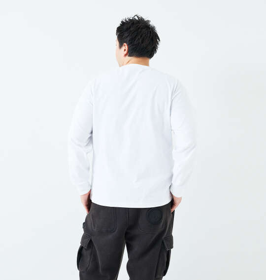 DCSHOES 25DESERT CAMO BIGSTAR長袖Tシャツ ホワイト