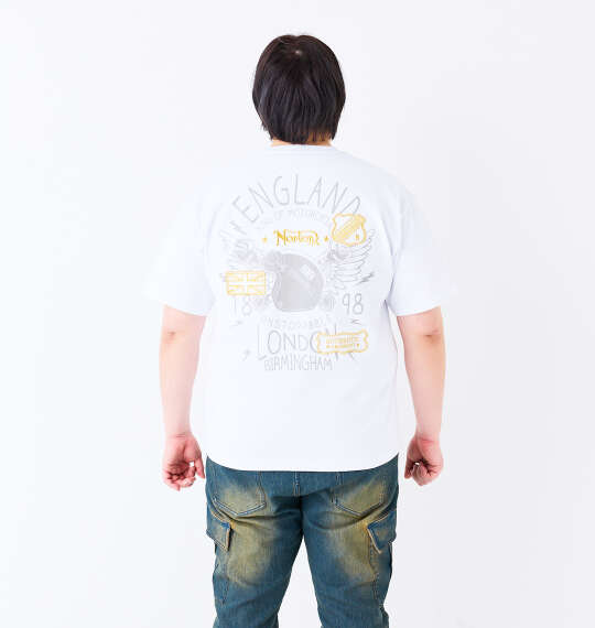 Norton 天竺半袖Tシャツ ホワイト