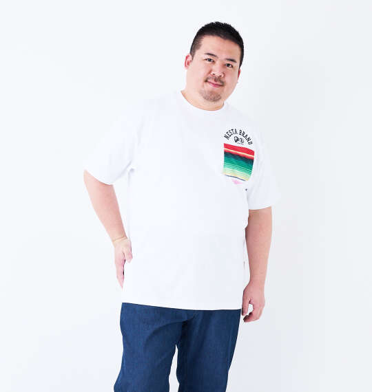 NESTA BRAND 天竺ポケット付半袖Tシャツ ホワイト