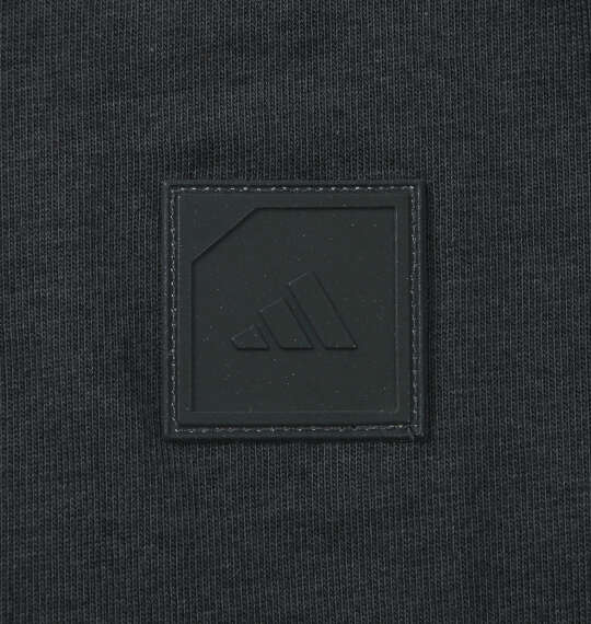 adidas golf バックグラフィック長袖ポロシャツ カーボン