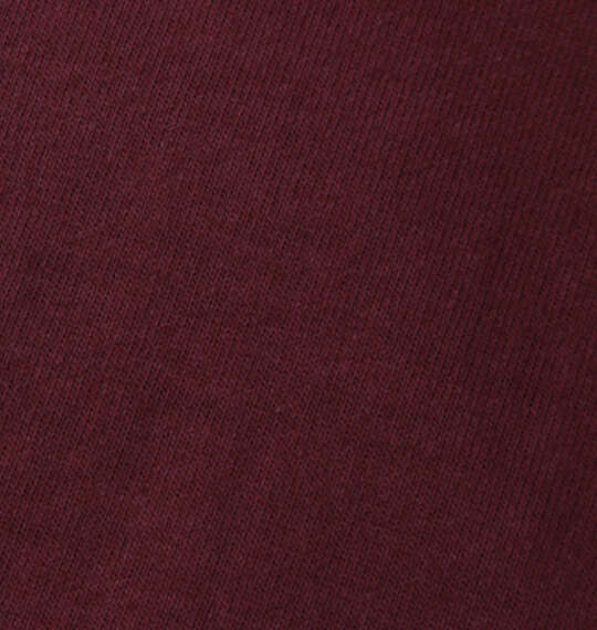VOLCOM TRUE TO THIS長袖Tシャツ バーガンディ