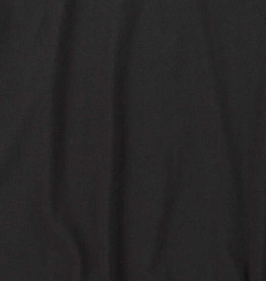 VOLCOM TRUE TO THIS長袖Tシャツ ブラック