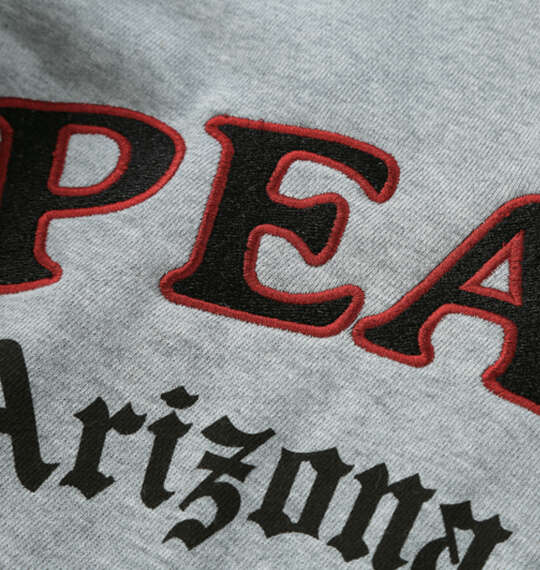 FLAGSTAFF×PEANUTS スヌーピーコラボフルジップパーカー グレー