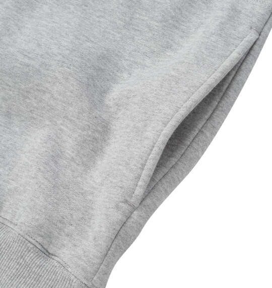 Coleman 裏起毛クルートレーナー アイスグレー