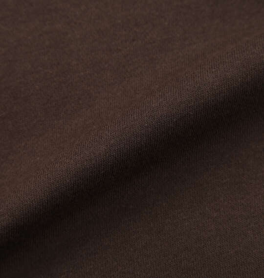 DICKIES エンブロイダリーロゴクルースウェット ダークブラウン