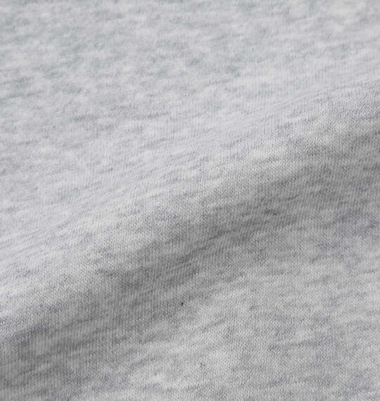 DICKIES エンブロイダリーロゴプルパーカー ヘザーグレー