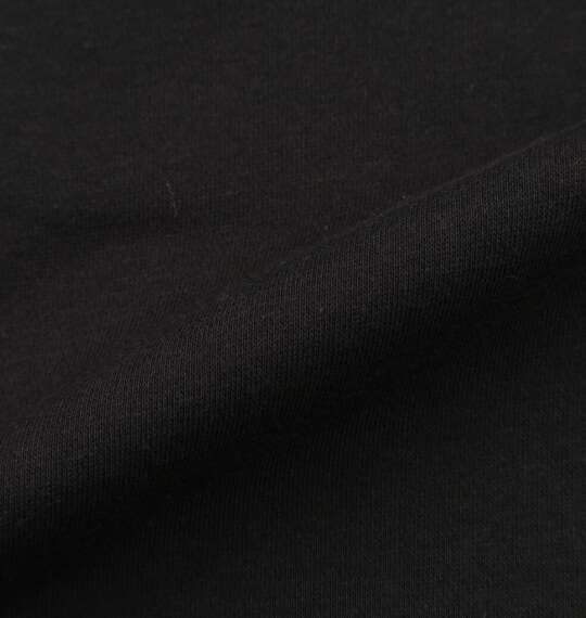 DICKIES エンブロイダリーロゴプルパーカー ブラック